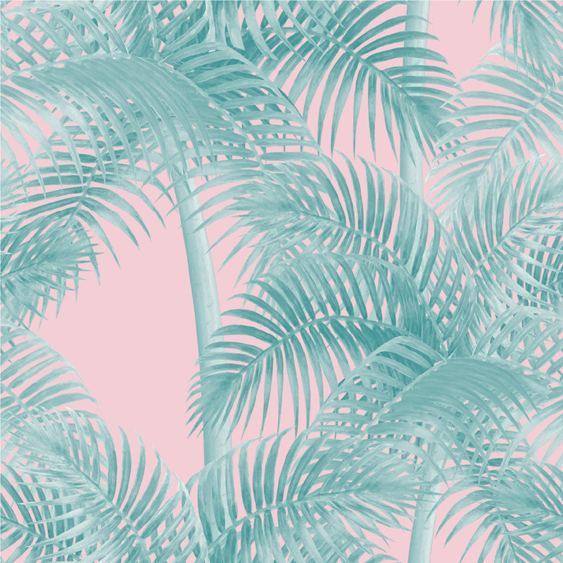 Tropical Palm Canopy Wallpaper