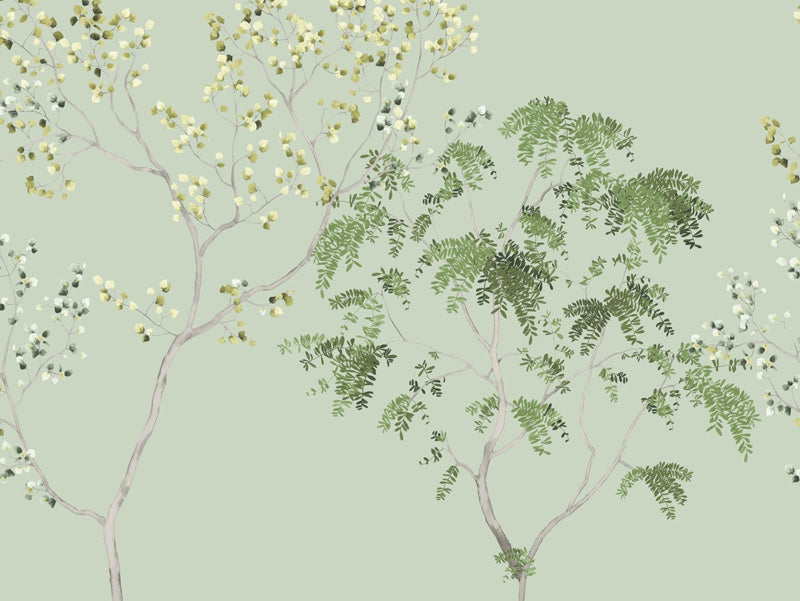 Wattle Grove Wallpaper Mural