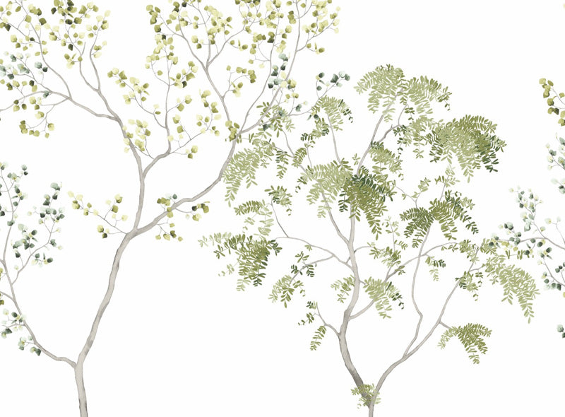 Wattle Grove Wallpaper Mural